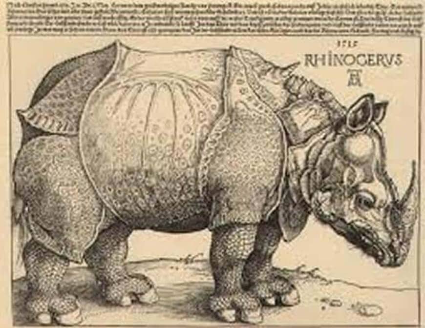 história da Gravura - Rinoceronte