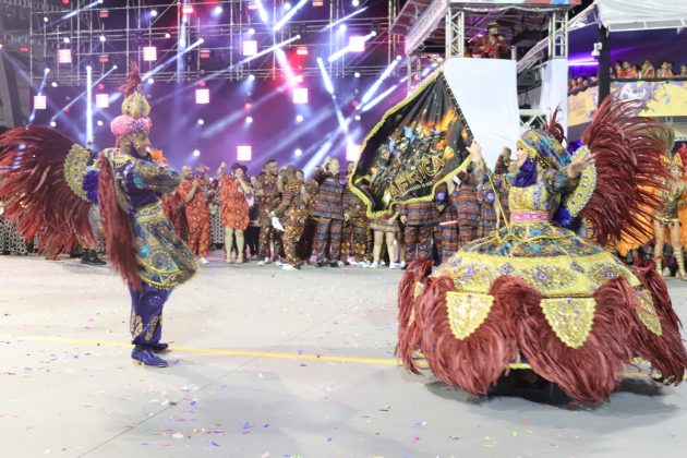 Carnaval 2024: Escolas de Samba Campeãs - Dragões da Real