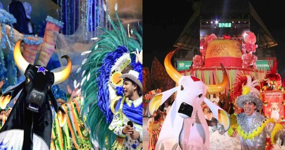 Festival de Parintins: 3 tópicos desse patrimônio do Brasil
